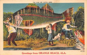 Orange Beach Alabama Exaggerated Fish, Color Linen Vintage Postcard U11833