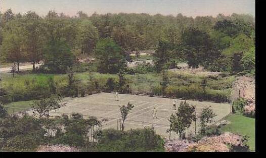 Michigan Dearborn The Dearborn Inn Tennis Courts Albertype