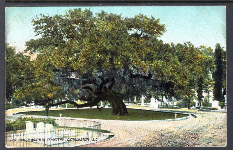 Old Oak,Magnolia Cemetery,Charleston,SC