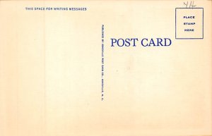 Rustic Bridge Bat Cave, North Carolina NC Postcard