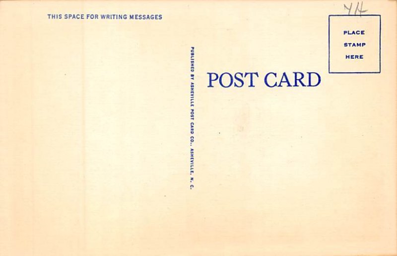 Rustic Bridge Bat Cave, North Carolina NC Postcard