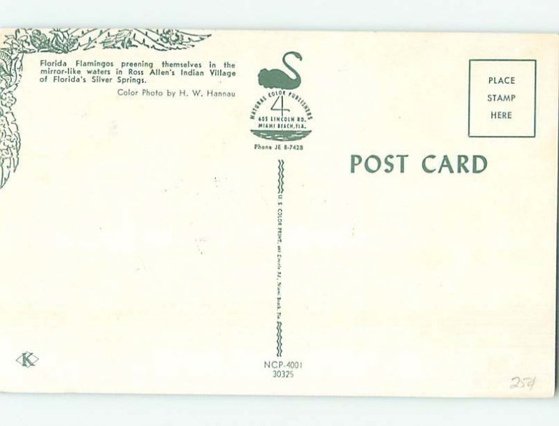 Chrome INDIAN SCENE Silver Springs - Near Ocala Florida FL AH4352