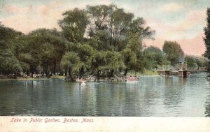 Vintage Postcard Scenic Lake In Public Gardens Beauty Spot Boston Massachusetts