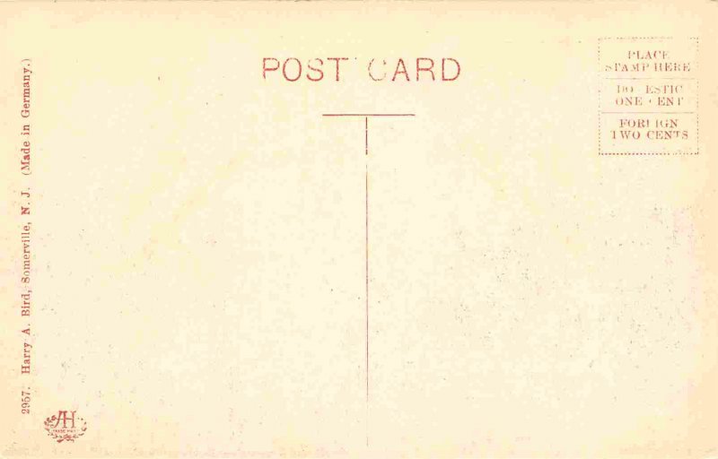 Duke's Park Somerville New Jersey 1910c #1 postcard