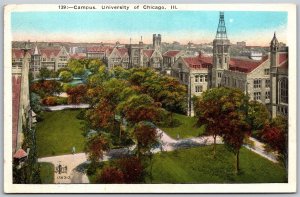 Vtg Illinois IL Campus University of Chicago Hutchison Hall & Tower Postcard