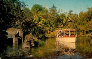 Disneyland Rivers Of Adventure Elephant Pool 1969