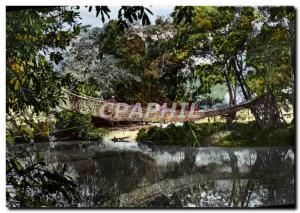 Postcard Modern L & # 39Afrique Colored Pont De Vines