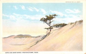 Cape Cod Sand Dunes Provincetown, Massachusetts  