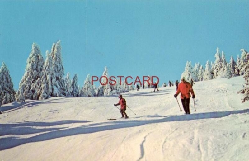 SKIING IN NEW HAMPSHIRE'S WINTER WONDERLAND photo by Loran Percy