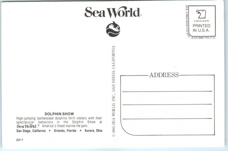 Postcard - High-Jumping, Bottlenosed Dolphins - Sea World