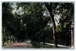 1910 Cottage Hill Ave. Looking From Virginia St. Elmhurst Illinois IL Postcard