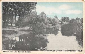 Warwick Maryland River Bank Waterfront Antique Postcard K86798