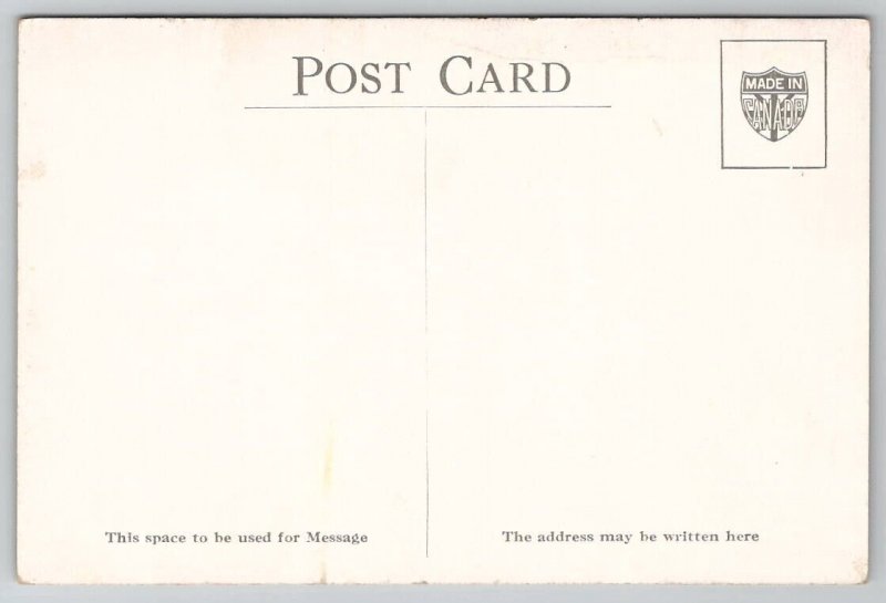 Canada Goose by T.C. Hennesseyis Postcard G28