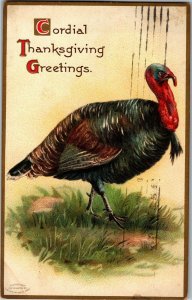 Cordial Thanksgiving Greetings, Turkey Embossed c1908 Vintage Postcard P35