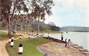 McRitchie Reservoir Singapore Unused 