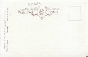 Comic Postcard - Tree / Acorn / Lazy / Vagrant - Ref 5112A