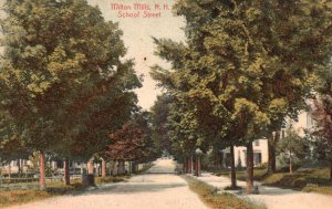 Vintage Postcard 1908 School Street Trees Landmark Milton Mills New Hampshire NH