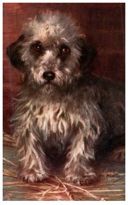 Dog ,  artist signed