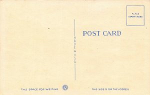 LP17 Briggs Baseball Stadium Detroit  Michigan Postcard 