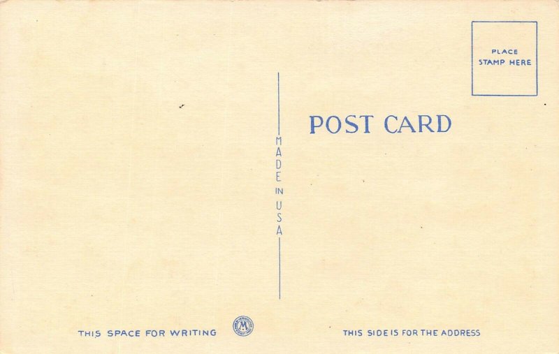 LP17 Briggs Baseball Stadium Detroit  Michigan Postcard 