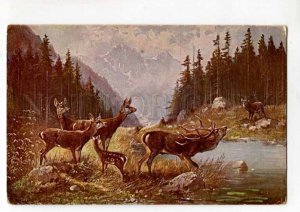 288453 Mueller MULLER Hunt DEER near River Vintage #110 PC