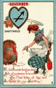 Tucks 128 Zodiac Signs Turkey November Sagittarius Dwig Vintage Postcard G74