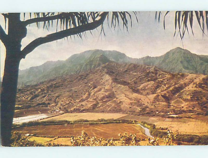 Pre-1980 NATURE SCENE Kauai Hawaii HI AD2453