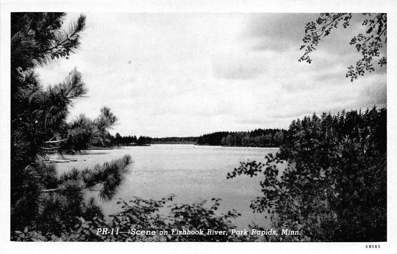Park Rapids Minnesota~Fishhook River Sccene~Pine Tree in Foreground~1946 Pc