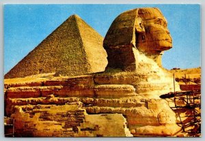 Cairo  Egypt  Sphinx  Giza Pyramids  Postcard