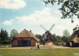 Wind  mill Belgium Bokrijk standard mill outdoor museum Postcard