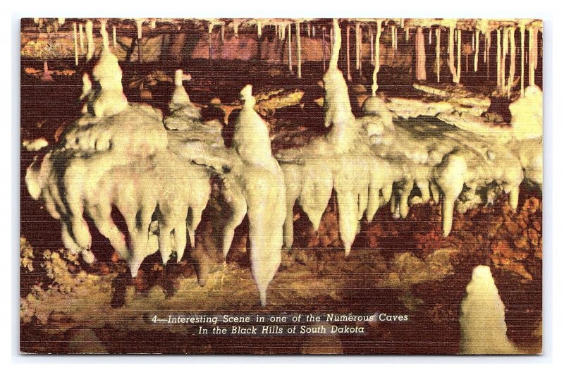 Interesting Scene Cave Of Black Hills South Dakota Postcard