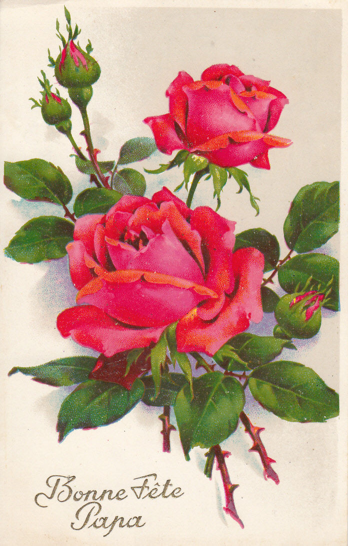 Fleurs Gil Postcard Flowers Red Roses Fantasy Bonne Fete