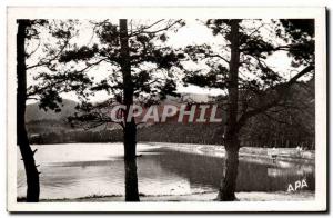 Postcard Modern Saint Ferreol The basin has seen through the pines