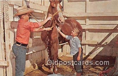 Owning a Horse Free Lance Photographers Guild, Inc Writing on back 