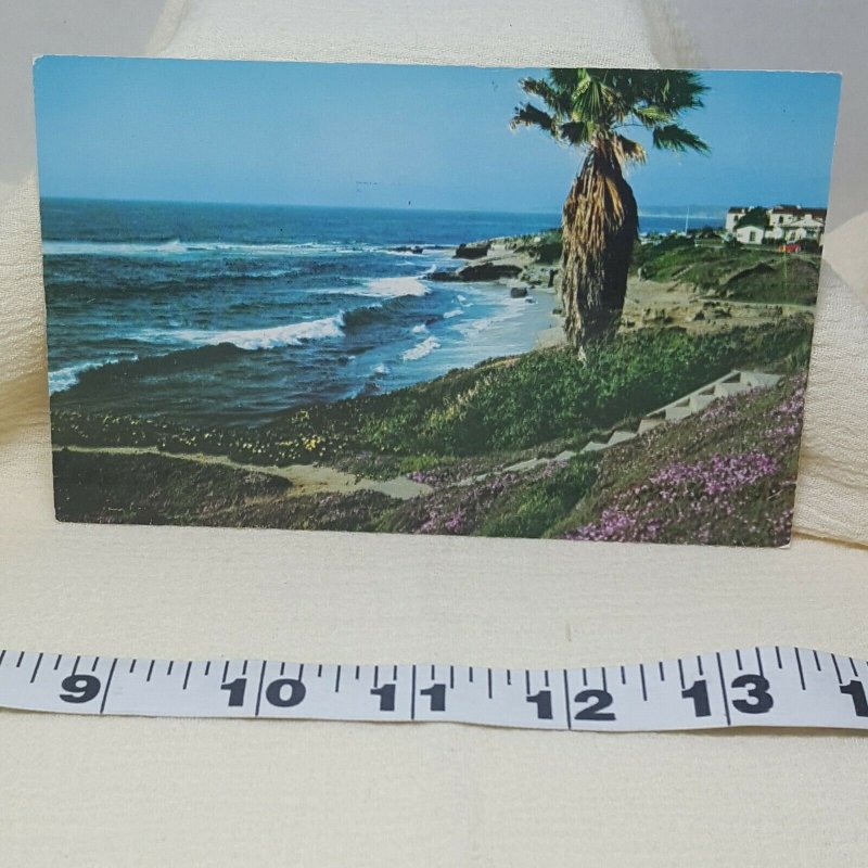 Shoreline California Vintage Postcard