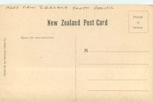 Postcard New Zealand 1920s South Pacific trout Fairy Spring Rotorua 23-10338