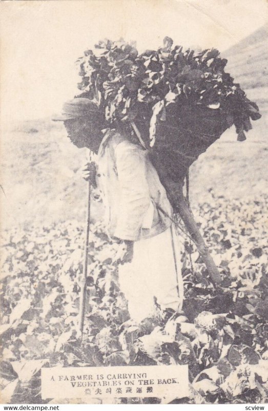 JAPAN, 00-10s; Farmer Carrying Vegetables on his back