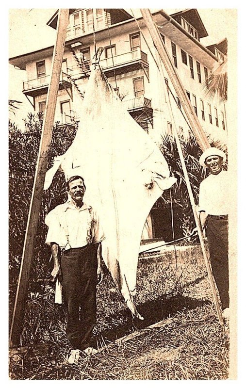 12 foot Sailfish caught in Florida RPC