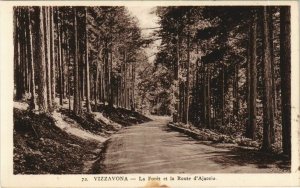 CPA Vizzavona - La Foret et le Route d'Ajaccio CORSICA - CORSE (1083595)