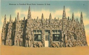 Lemmon South Dakota Museum Petrified Forest #5 Tichnor Postcard 21-2270