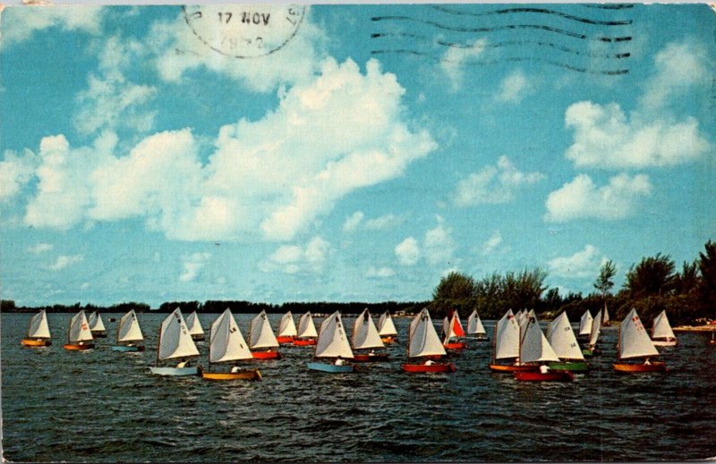 Florida Sarasota Bay Sarasota Sailing Regatta Labor Day 1972