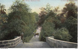 Monkland Glen , Herefordshire, England , 1900-10s ; Old Bridge