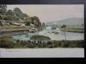 North Wales TREFRIW The Quay shows Paddle Steamer c1905 by Pictorial Stationery