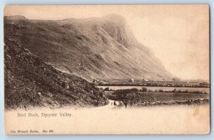 Wales Postcard Scene at Bird Rock Dysynni Valley c1910 Unposted Antique
