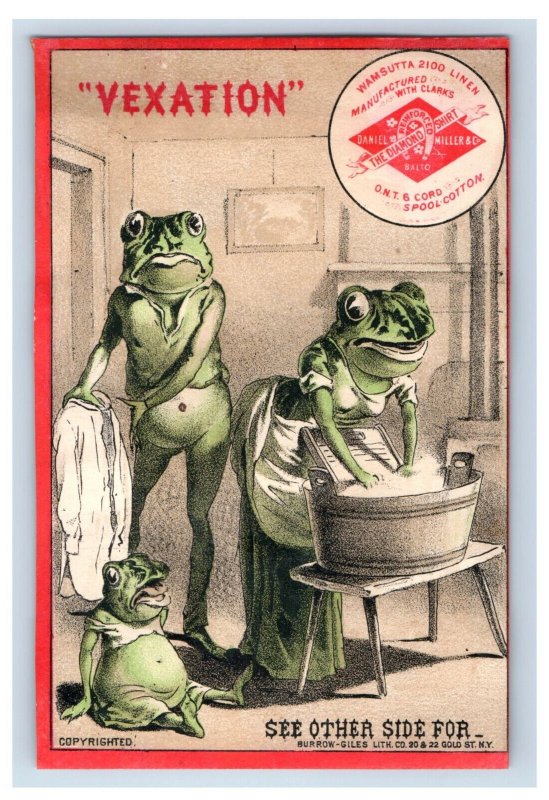 1880s Daniel Miller & Co. Diamond Shirt Cute Anthropomorphic Frog Family #1 F152