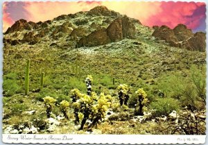 Postcard - Stormy Winter Sunset in Arizona Desert - Arizona
