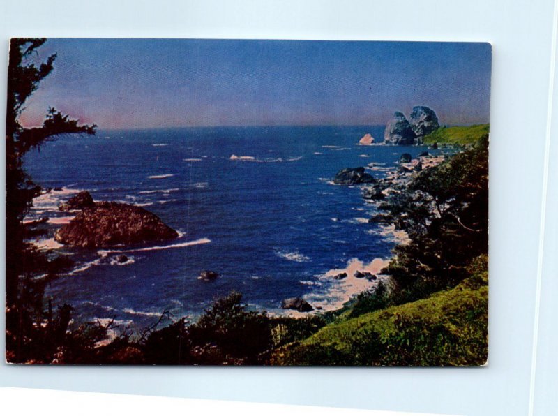 Shoreline of the Pacific, The Rugged Coastline of California and the Northwest 