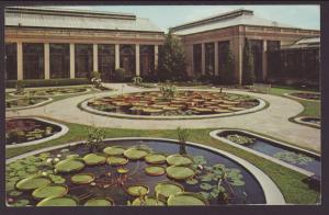 Water Lily Pools Postcard BIN