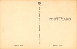 Monkey Comic Monkey Postcard