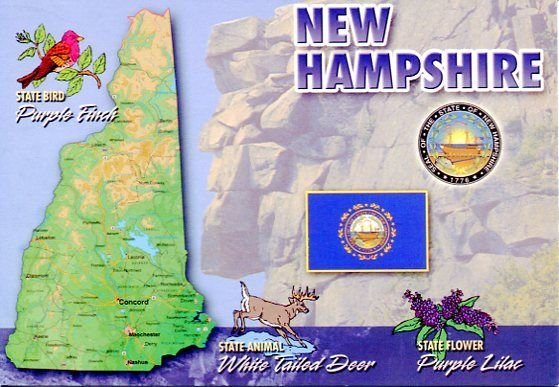 NEW HAMPSHIRE: THE GRANITE STATE STATE MAP POSTCARDS